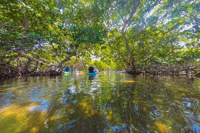 Key West Island Eco Tour with Transportation from Miami - Day 2: The Outdoor Excursions