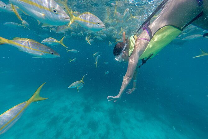 Key West Island Eco Tour with Transportation from Miami - What’s Included and What to Expect