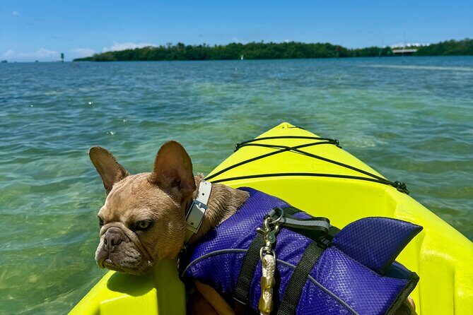 Key West Kayak Eco Tour | An Eco-Friendly Adventure Awaits! - A Deep Dive into the Key West Kayak Eco Tour