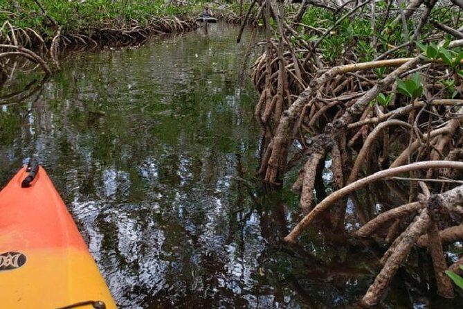 Key West Kayak Rental - Key Points