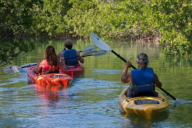 Key West Kayak Rental - An In-Depth Look at the Kayaking Experience in Key West