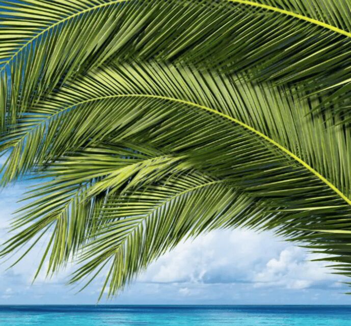 Key West: Luggage Services - Final Thoughts