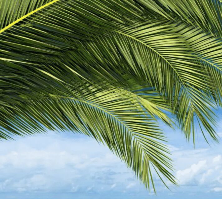 Key West: Luggage Services - FAQs