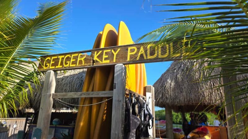 Key West: Mangrove Kayak or SUP Eco Tour - Key Points