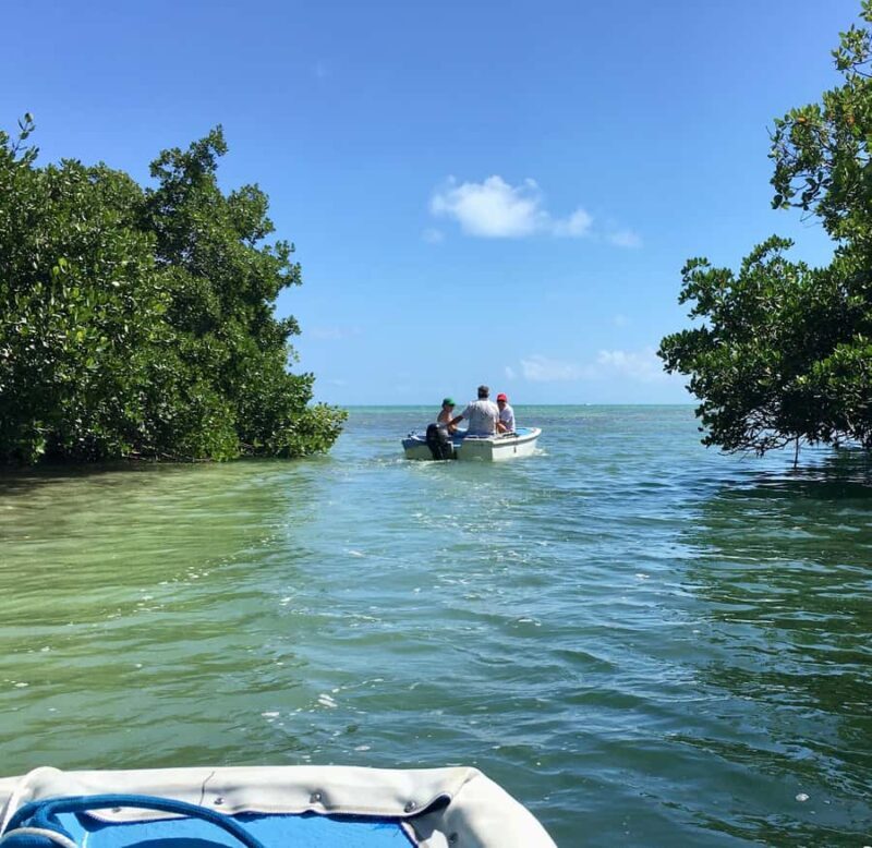 Key West: Mangroves & Bars Motorboat Tour - Key Points