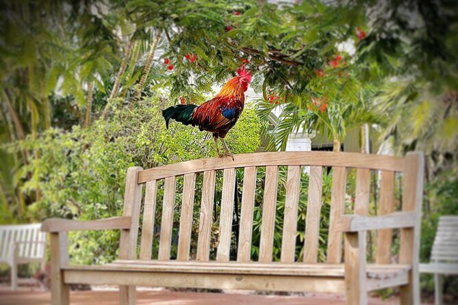 Key West Odyssey: Uncover Island Secrets, Walk by Locals - A Deep Dive into the Experience