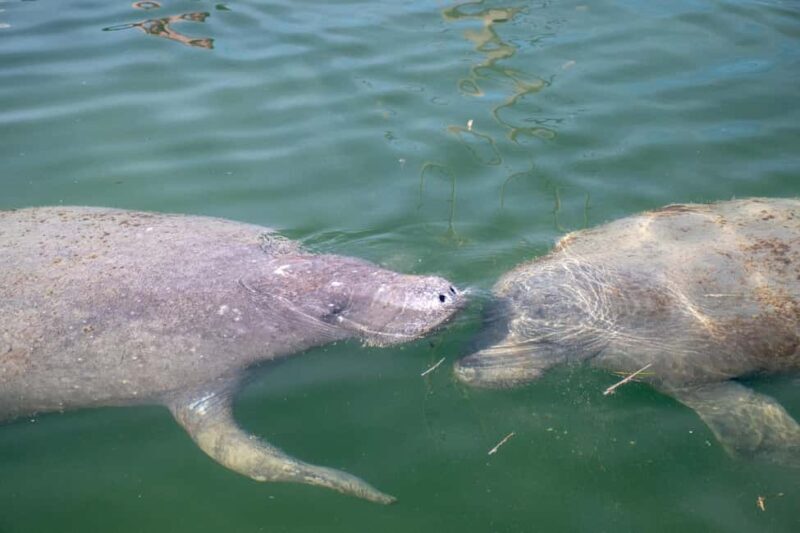 Key West: Private Boat Charter with Captain - Key Points