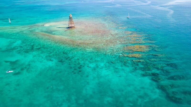 Key West: Reef Snorkel Morning Tour with Breakfast & Mimosas - Who Will Love This Experience?