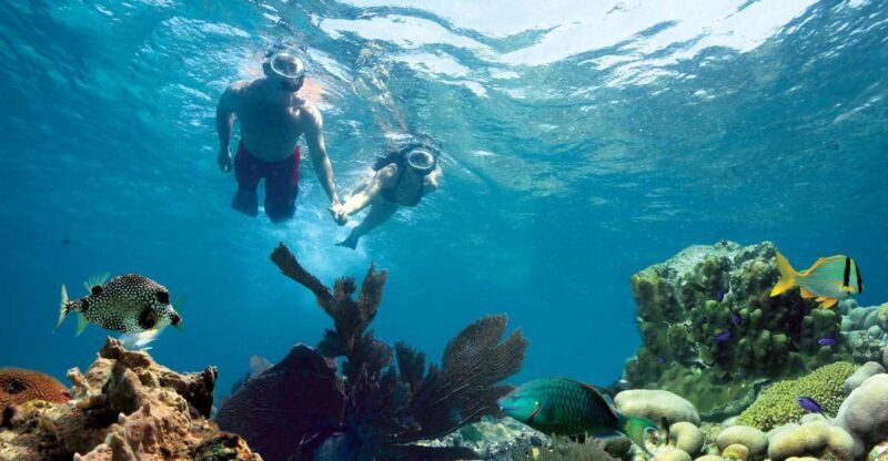 Key West: Reef Snorkeling with Drinks and Sunset Option - What Makes This Tour Special?
