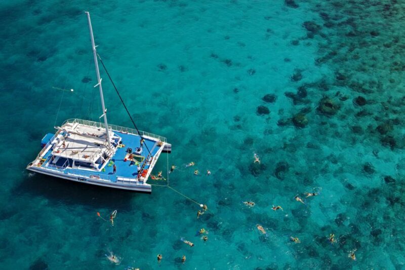 Key West: Reef Snorkeling with Drinks and Sunset Option - Who Will Love This Tour?