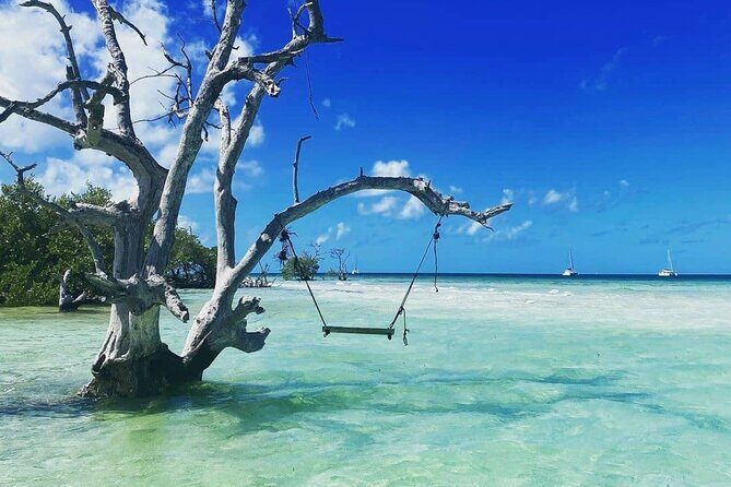 Key West Sandbar Charter - Analyzing the Value: Is It Worth It?