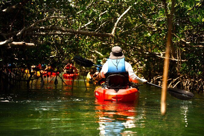 Key West Sandbar Charter With Kayak Tour: Includes Lunch & Drinks - FAQ