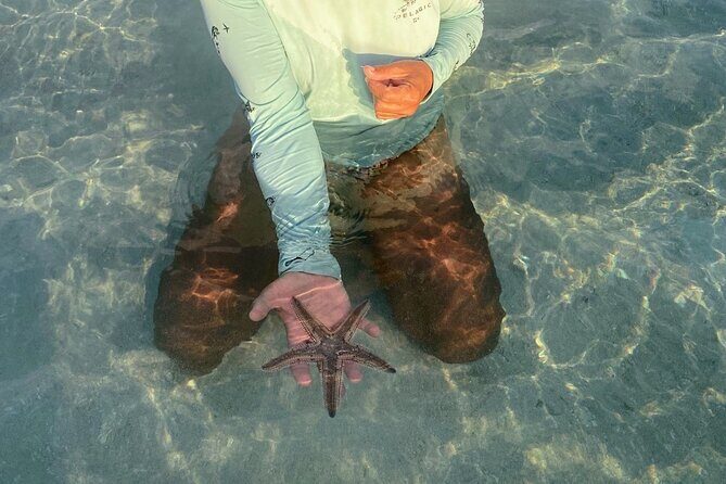 Key west sandbar/eco trip ran by husband and wife naturalist team - The Sum Up