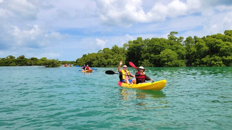 Key West: Sandbar Excursion & Kayak Tour with Lunch & Drinks - Water Activities and Free Time