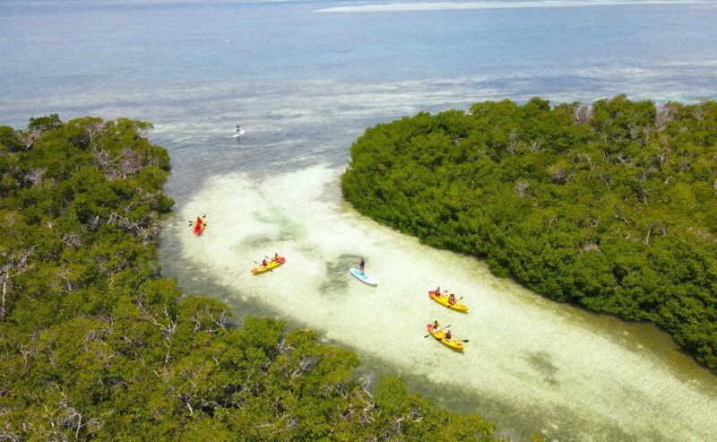 Key West: Sandbar Excursion & Kayak Tour with Lunch & Drinks - Who Will Love This Tour?