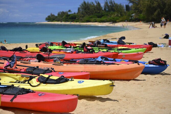 Key West: Smathers Beach & activities with a Sunset Catamaran & Open Bar - A Deep Dive into the Day: What to Expect