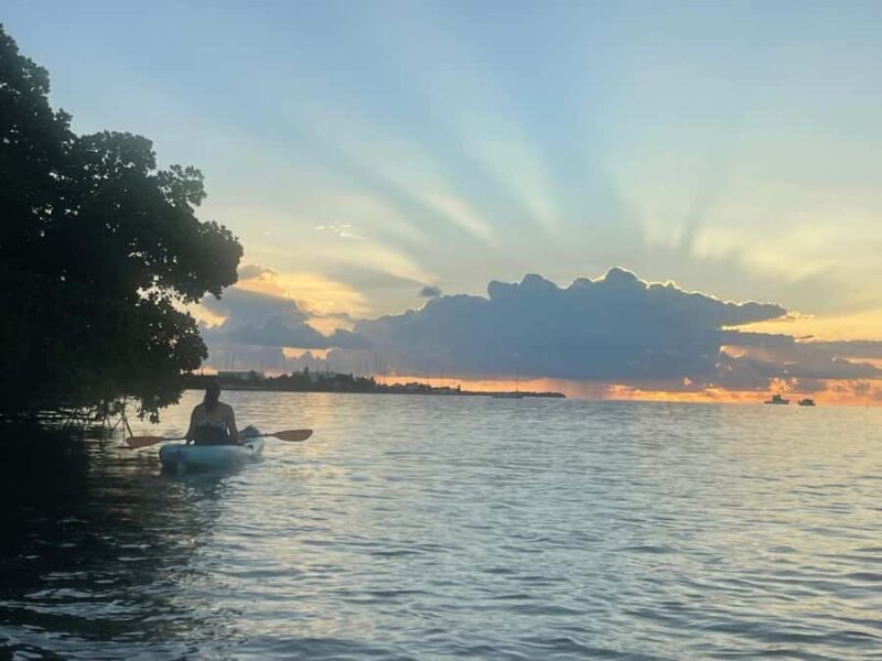 Key West: Sunrise Kayak Tour - The Experience on the Water