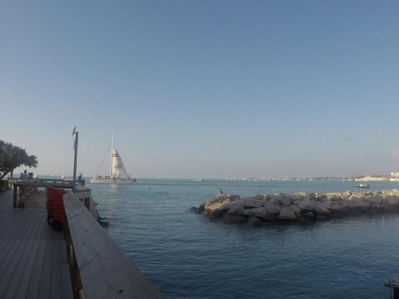 Key West Tour and Coral Reef Snorkeling with Open Bar - Exploring Key West at Your Own Pace