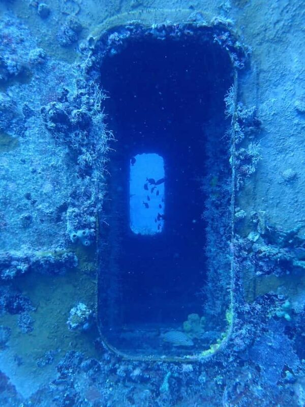 Key West: Vandenberg Wreck Dive - The Verdict on Value