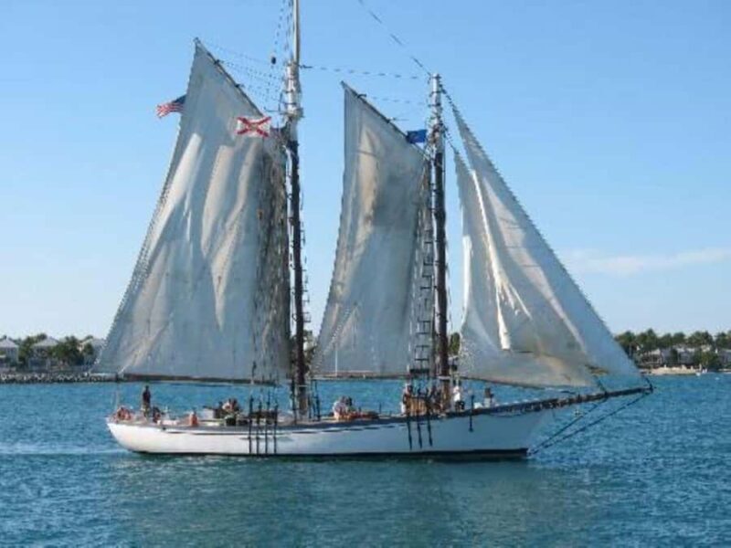 Key West's Classic Windjammer Day Sail - Marine Life and Wildlife