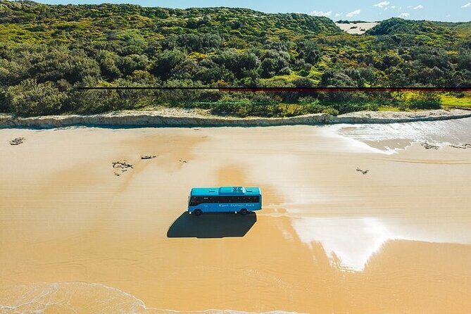 K'Gari (Fraser Island) 3-Day Getaway from Hervey Bay + Illumina - Who Should Consider This Tour?