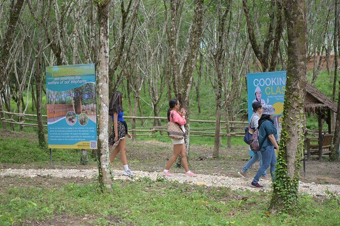 Khao Lak Eco-Safari: Elephants, Tsunami Museum, and Turtles - A Detailed Look at What to Expect
