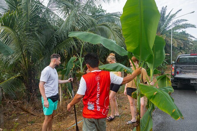 Khao Lak Elephant Sanctuary Full Day Small Group Tour - Who Will Love This Tour?