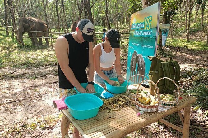 Khao Lak Elephant Sanctuary Tour with Waterfall and Lunch - Final Thoughts: Who Should Consider This Tour?