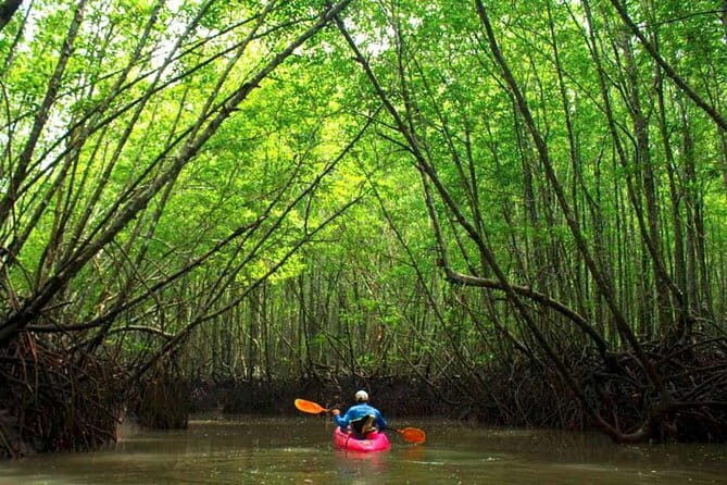Khao Sok Cheow Lan Lake Tour from Krabi - The Sum Up