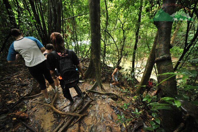 Khao Sok National Park Hiking and Bamboo Raft Tour From Khao Lak - Exploring the Full-Day of Activities in Khao Sok National Park