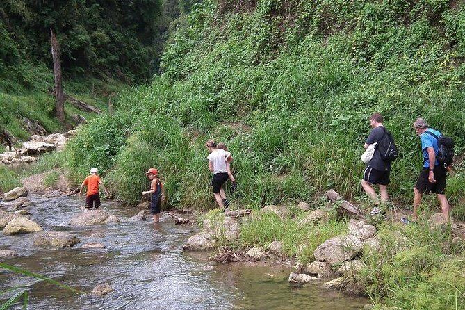 Khao Sok National Park Jungle Safari Full Day Tour from Phuket - Who Should Consider This Tour?