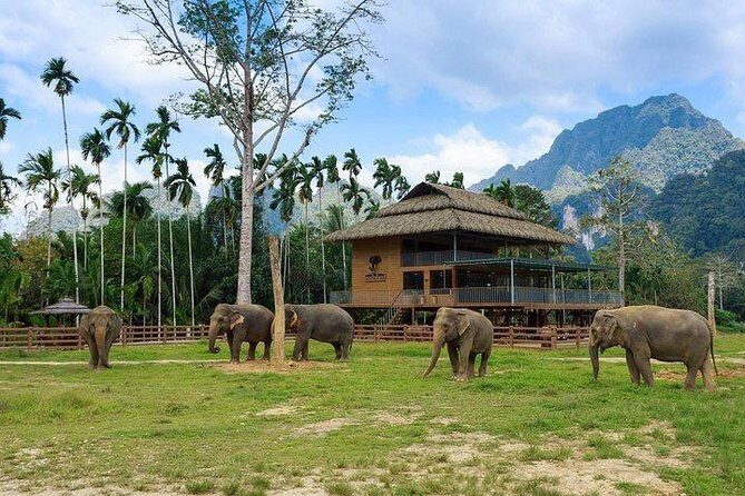 Khao Sok National Park Jungle Safari Full Day Tour from Phuket - Final Thoughts