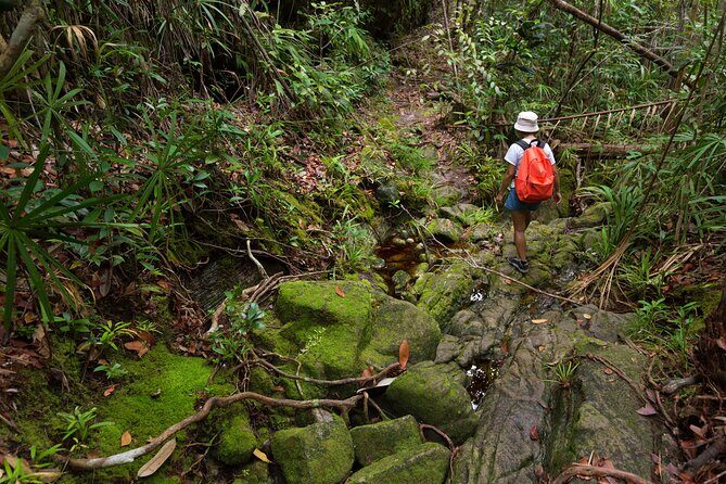 Khao Sok Rainforest | Hiking & Bamboo Rafting - What’s Included & What’s Not