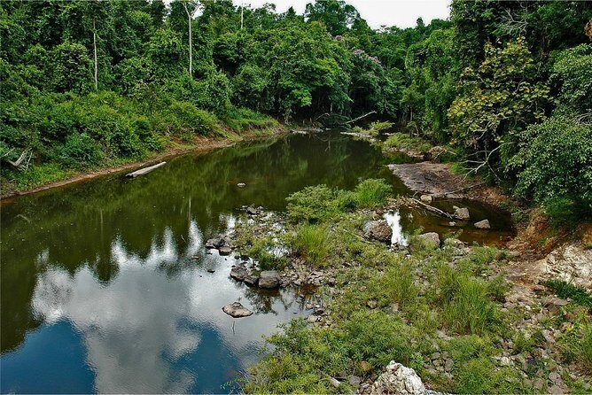 Khao Yai Bat Caves & Night Safari Adventure 3D/2N - A Detailed Look at the Khao Yai Bat Caves & Night Safari Adventure