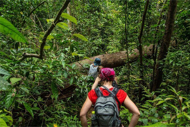 Khao Yai Bat Caves & Night Safari Adventure 3D/2N - Who is This Tour Best Suited For?