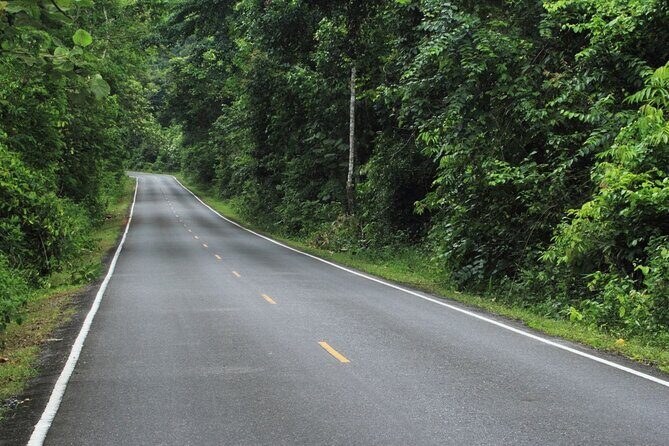 Khao Yai National Park Full-Day Tour From Bangkok - Who Is This Tour Best For?