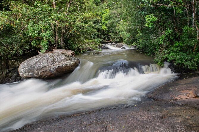 Khao Yai National Park Full-Day Tour From Bangkok - References