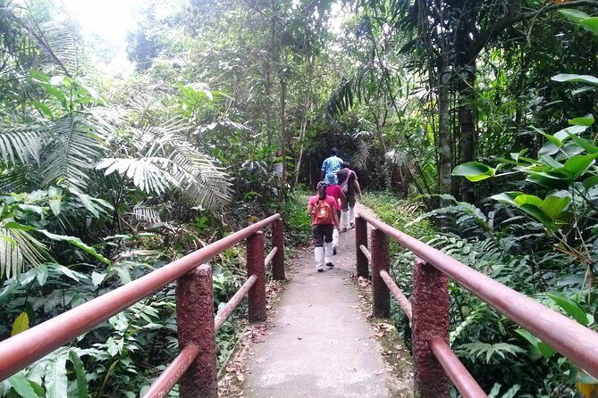 Khao Yai National Park Hiking Day Tour: Haew Narok and Haew Suwat - Who Will Love This Tour?