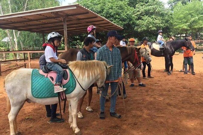 Khao Yai Winery - Vineyard Tours & Animal Lover with Horse Farm - Exploring the Khao Yai Vineyard & Farm Tour in Detail