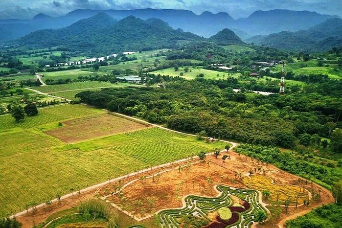 Khao Yai Winery - Vineyard Tours & Animal Lover with Horse Farm - FAQ
