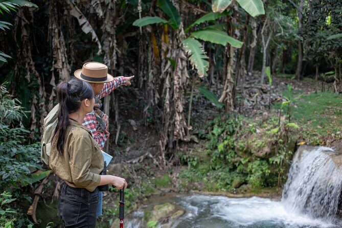 Khaolak Elephant Sanctuary, Cooking Class and Waterfall Tour - FAQs