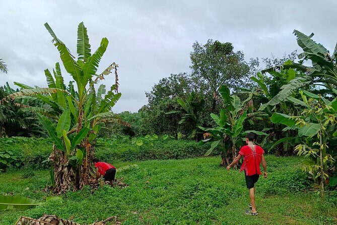 Khaolak Ethical Elephant Sanctuary Overnight Program - FAQ