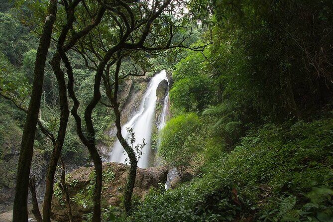 Khaolak Nature & Culture Tour with Lunch - Key Points
