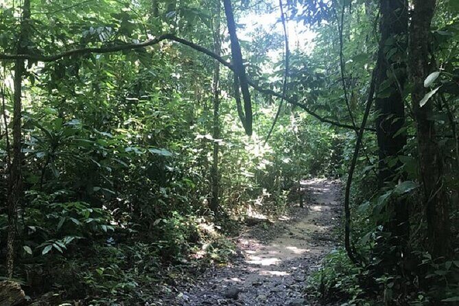 Khaosok Jungle Exploration from Khaolak - River Leisure and Cultural Insight