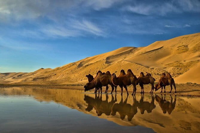 Kharkhorum, Semi-Gobi 2 days 1 night private trip - Day Two: Culture, History, and Scenic Drives