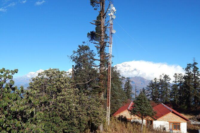 Khopra Danda Trek Hot Spring - From Pokhara to Nayapul and Ghandruk