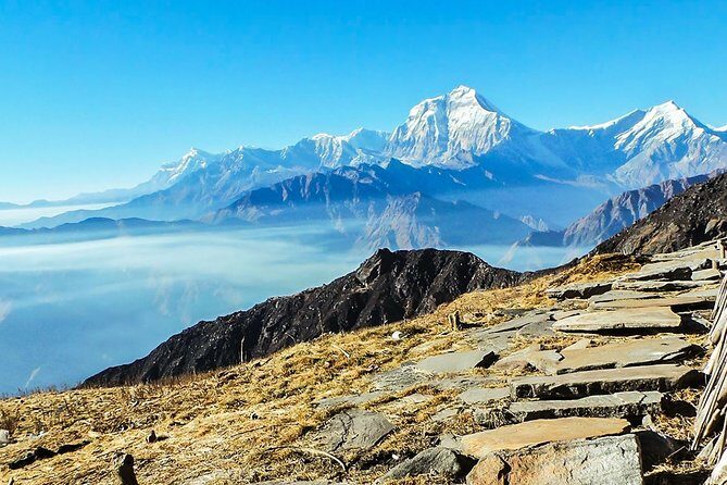 Khopra Ridge Community- 13 DAYS - In-Depth Review of the Khopra Ridge Community Trek