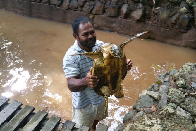 Kiara Package tour - Final Thoughts