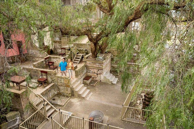 Kickstart Sydney Half-Day Private Tour - The Sum Up