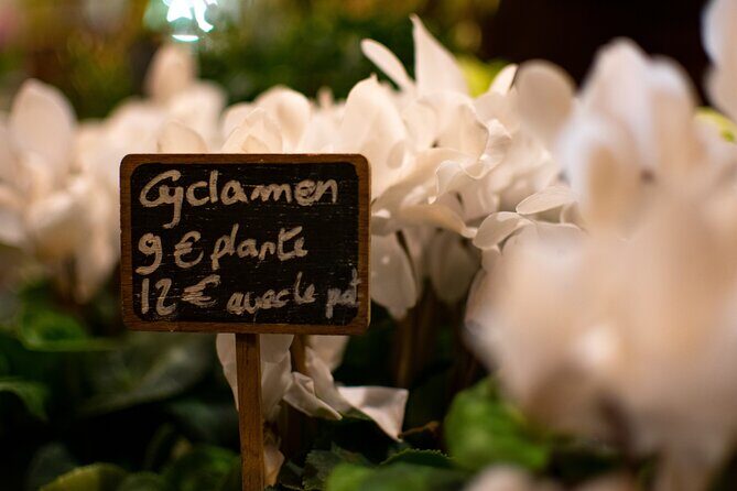 Kids and Families Marais Private Tour in Paris including Jewish Quarter - Authentic Insights from Reviewers